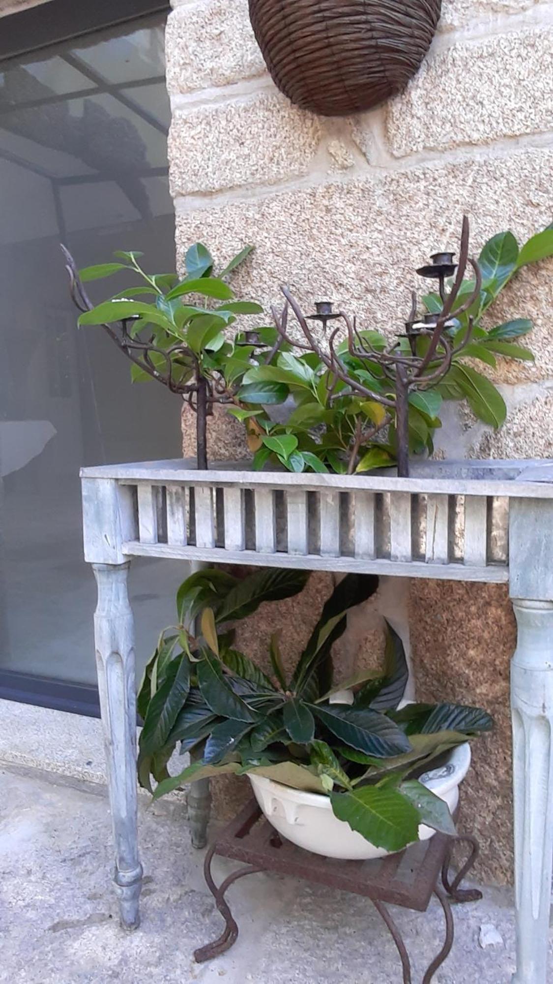 Casa D'Aldeia De Souto De Lafoes Pensionat Oliveira de Frades Exteriör bild